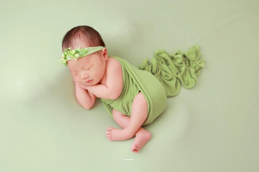 辽阳9个月宝宝辅食安排